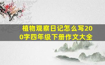 植物观察日记怎么写200字四年级下册作文大全