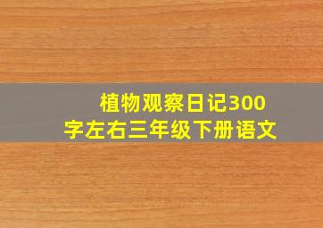 植物观察日记300字左右三年级下册语文