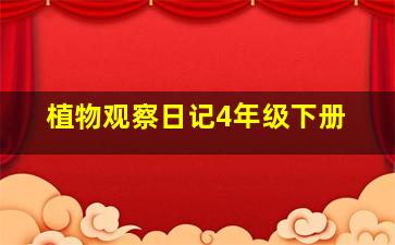 植物观察日记4年级下册