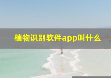 植物识别软件app叫什么