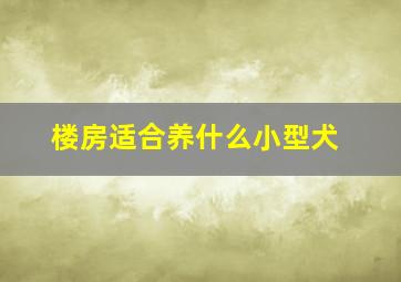 楼房适合养什么小型犬