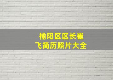 榆阳区区长崔飞简历照片大全