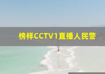 榜样CCTV1直播人民警