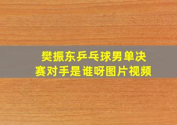 樊振东乒乓球男单决赛对手是谁呀图片视频