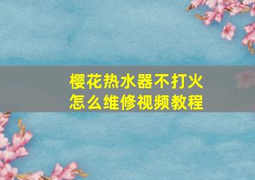 樱花热水器不打火怎么维修视频教程