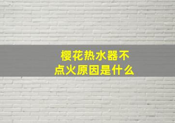 樱花热水器不点火原因是什么