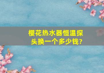 樱花热水器恒温探头换一个多少钱?