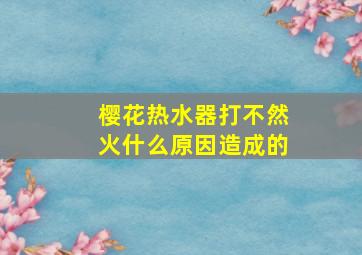 樱花热水器打不然火什么原因造成的