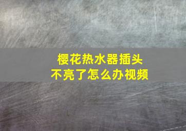 樱花热水器插头不亮了怎么办视频