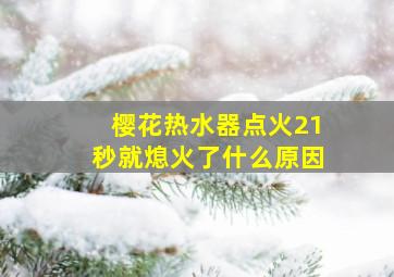 樱花热水器点火21秒就熄火了什么原因