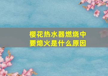 樱花热水器燃烧中要熄火是什么原因