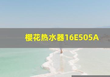 樱花热水器16E505A