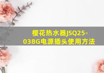 樱花热水器JSQ25-038G电源插头使用方法