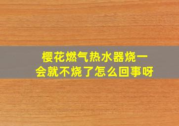 樱花燃气热水器烧一会就不烧了怎么回事呀