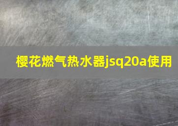 樱花燃气热水器jsq20a使用