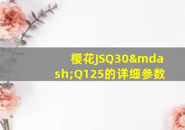 樱花JSQ30—Q125的详细参数