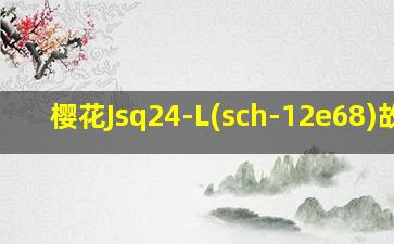 樱花Jsq24-L(sch-12e68)故障