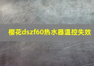 樱花dszf60热水器温控失效