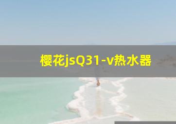 樱花jsQ31-v热水器