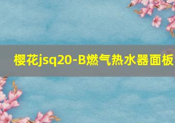 樱花jsq20-B燃气热水器面板