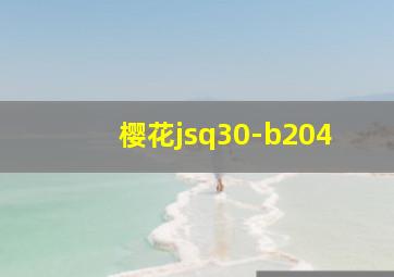 樱花jsq30-b204