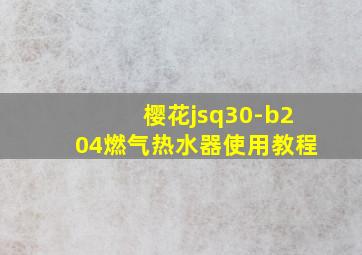 樱花jsq30-b204燃气热水器使用教程