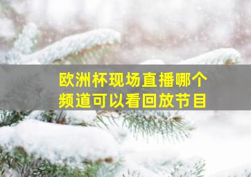 欧洲杯现场直播哪个频道可以看回放节目