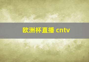 欧洲杯直播 cntv