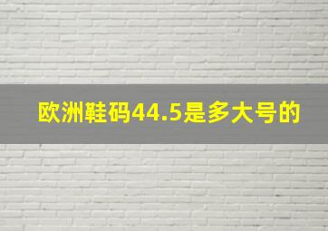 欧洲鞋码44.5是多大号的