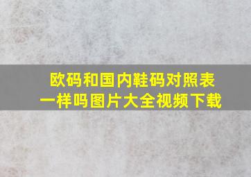 欧码和国内鞋码对照表一样吗图片大全视频下载