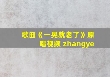 歌曲《一晃就老了》原唱视频 zhangye