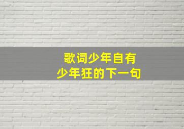 歌词少年自有少年狂的下一句