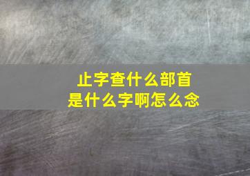 止字查什么部首是什么字啊怎么念