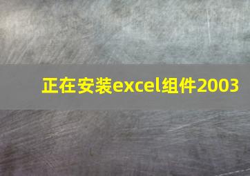 正在安装excel组件2003