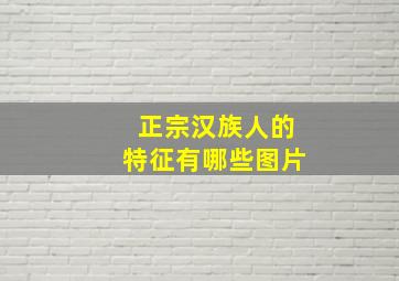 正宗汉族人的特征有哪些图片