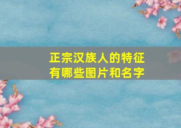 正宗汉族人的特征有哪些图片和名字