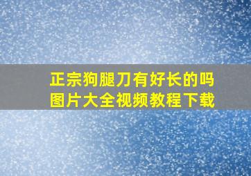 正宗狗腿刀有好长的吗图片大全视频教程下载