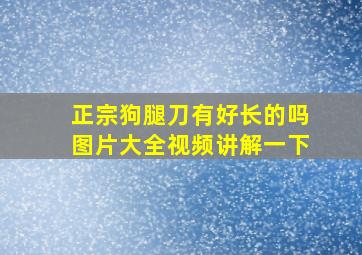 正宗狗腿刀有好长的吗图片大全视频讲解一下