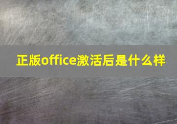 正版office激活后是什么样