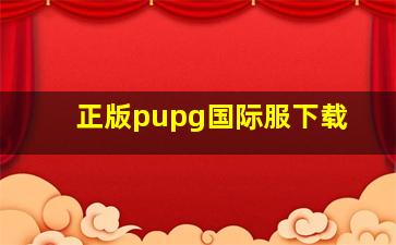 正版pupg国际服下载