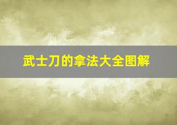 武士刀的拿法大全图解