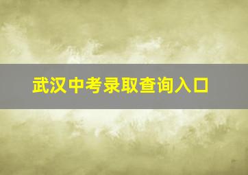 武汉中考录取查询入口