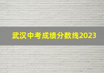 武汉中考成绩分数线2023