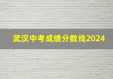 武汉中考成绩分数线2024