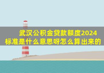 武汉公积金贷款额度2024标准是什么意思呀怎么算出来的