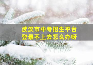 武汉市中考招生平台登录不上去怎么办呀