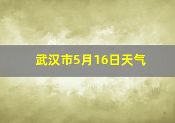 武汉市5月16日天气