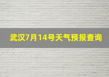 武汉7月14号天气预报查询