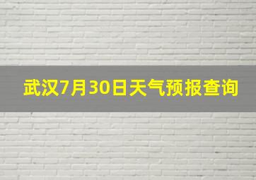 武汉7月30日天气预报查询