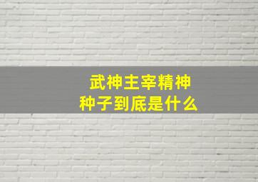 武神主宰精神种子到底是什么